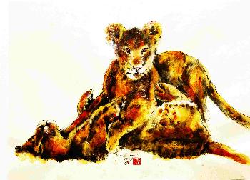 African Wild Life Spielende L�wenkinder