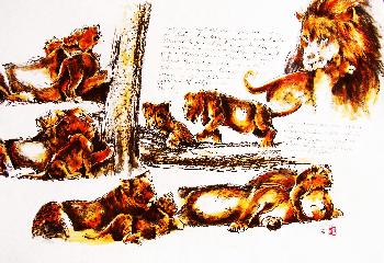 African Wild Life L�wenstudien