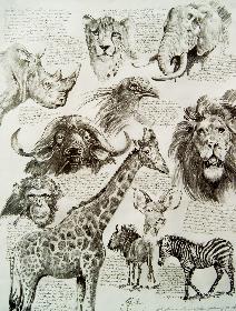 Meine Afrikanische Arche