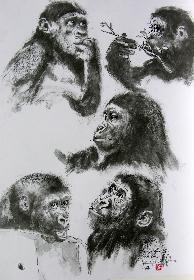 Die Jungen Gentleman aus der Wilhelma