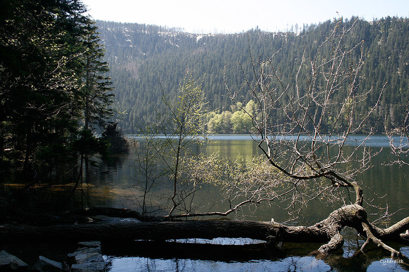 Schwarzsee im  Frhling 2009