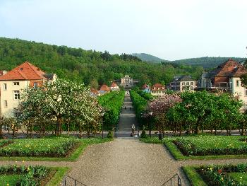 Bad Brckenau Park 1