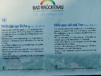 1000 j�hrige Eiche - Infoschild
