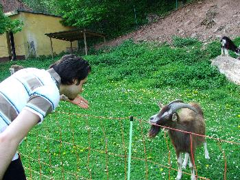 Okay der Rechte hat bei der Bartl�nge gewonnen