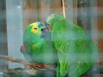 Zwei die sich lieben