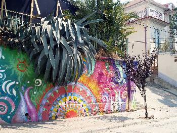 Natur trifft auf Kunst