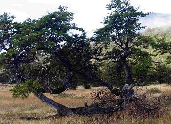 Hier geht es oft st�rmisch zu