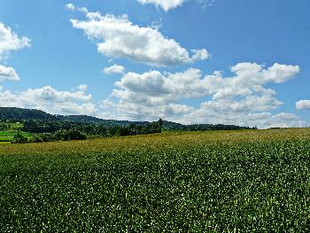 Summertime ...