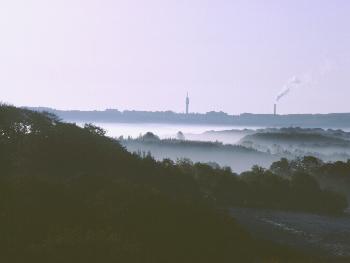 Nebel am Morgen