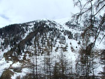 6. Knapp unter der Baumgrenze