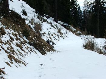 10. Owlet musste sich ausruhen