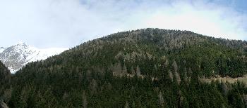 15. Panorama ber dem Gols (1700 m. N.n)