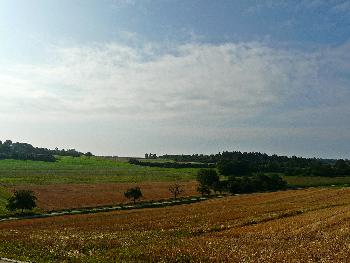Nach der Ernte ....