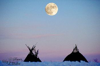 POLARNACHT      LAVVUS =NOMADENZELTE IN DER TUNDRA