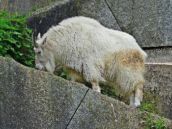 Auf F�hrtensuche ...