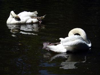 MITTAGSSCHLAF  NACH EINEM LANGEN AUSFLUG