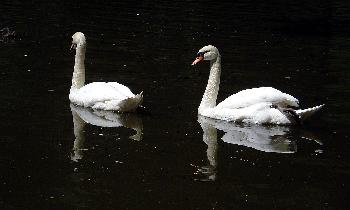 AUF ENTDECKUNGSREISE