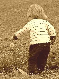 *Pusteblumen - Destroyer*