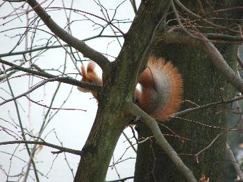 Die menschliche Welt da draussen...