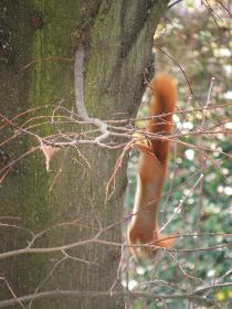 Auf dem Weg nach unten