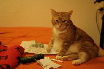 Mein Finanzberater :)