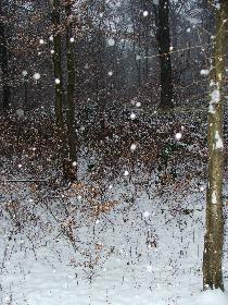 Leise fiel der Schnee an diesem sch�nen Ort (Winter 2009)