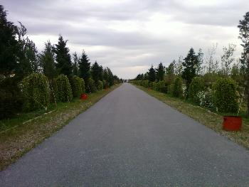 Spazierweg �ckuyular - Inciralti - 1