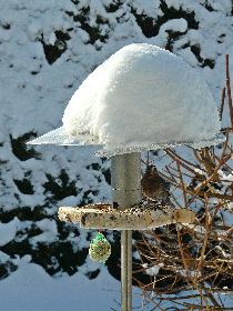 Schlemmen im selbst kreierten Vogelh�uschen  ...
