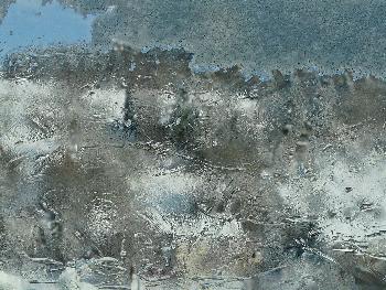Ice - Window ...