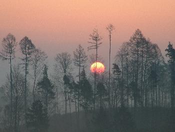 Sonnenaufgang an einem nebligen Morgen