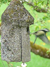 Eleganter Abflug g*...