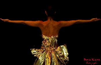 Wings