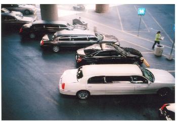 Die Autos der Reichen und Sch�nen in Las Vegas