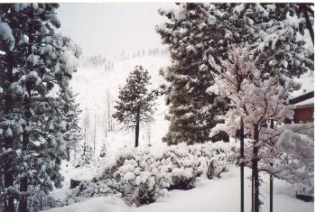 Carson City im Schnee