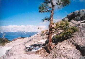 Lake Tahoe