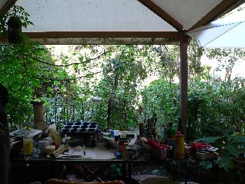 Kreativer Garten