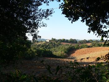 Landschaft, Toskana, Maremma