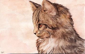 Versuch: Katzenaquarell