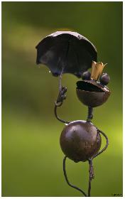 Froschknig
