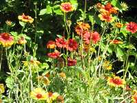 Natur