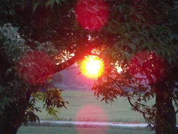 Ein lauwarmer Sommerabend...