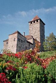 Burg Lichtenberg