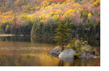 a river runs through indiansummer