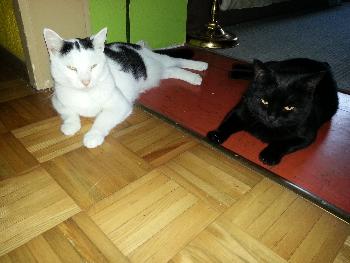 Mo und Bali