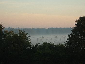 Morgentau