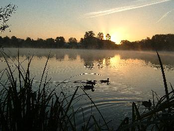 Sonnenaufgang am See