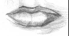 Lips