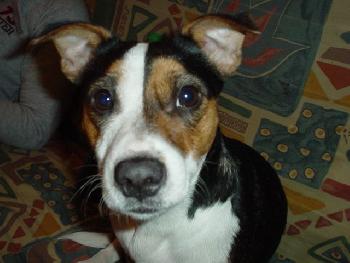 Was guckst du?
