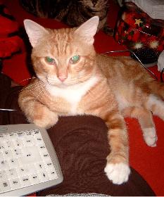 Prinz Valium 02 (der Digge)