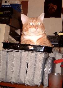 Prinz Valium 03 (der Digge)